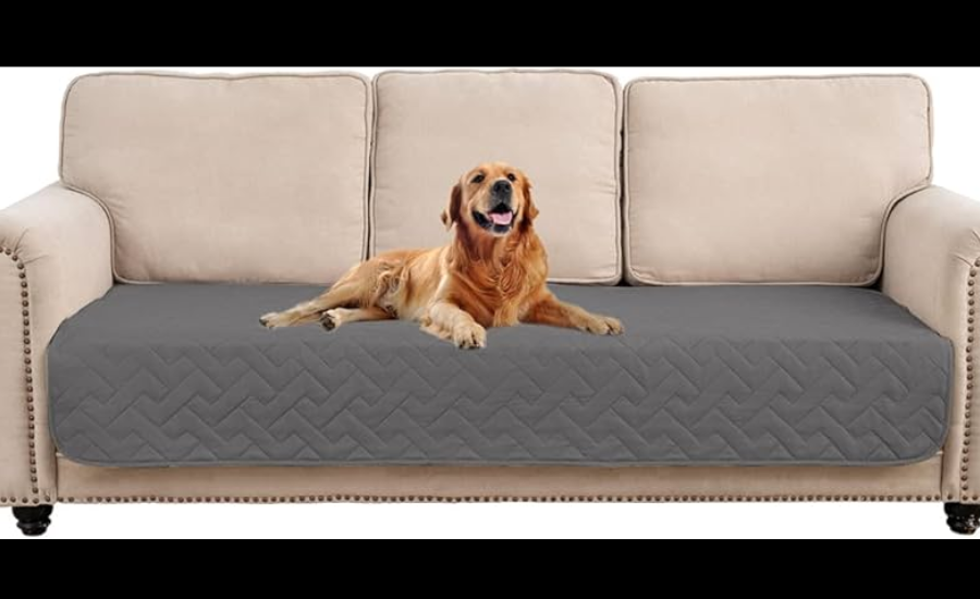 Sofa Pads for Dogs